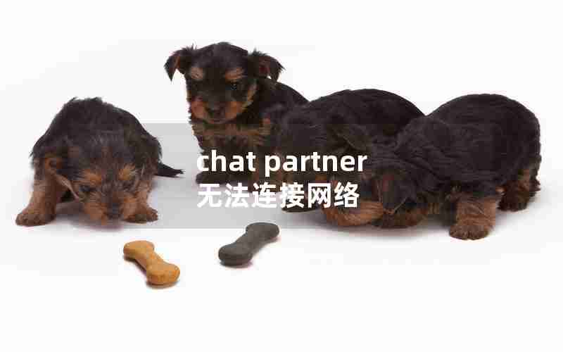 chat partner无法连接网络