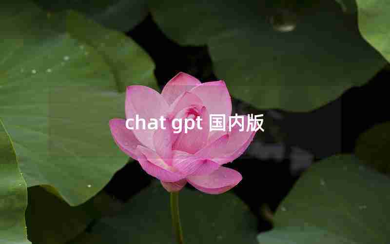 chat gpt 国内版