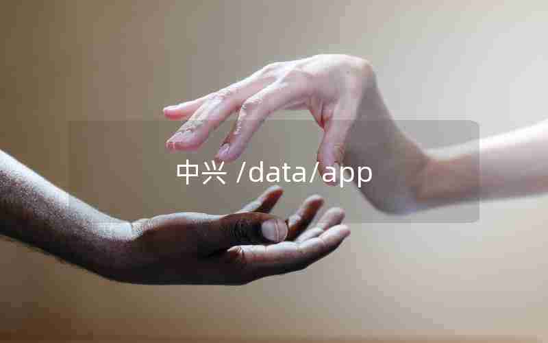 中兴 /data/app