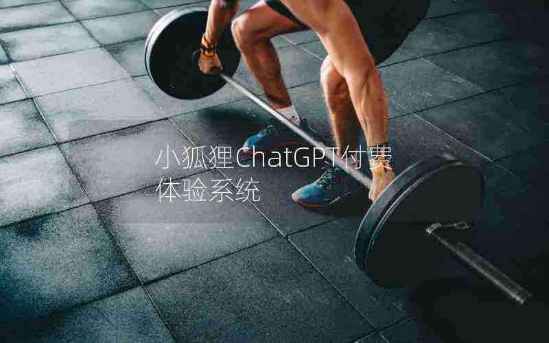 小狐狸ChatGPT付费体验系统