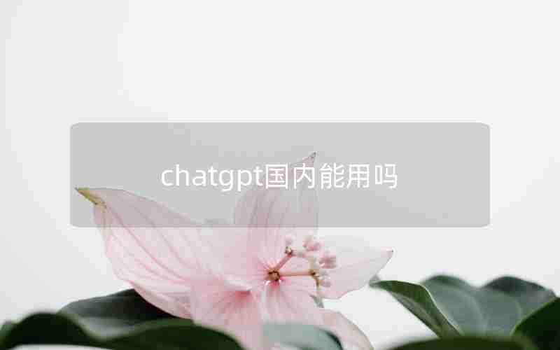 chatgpt国内能用吗