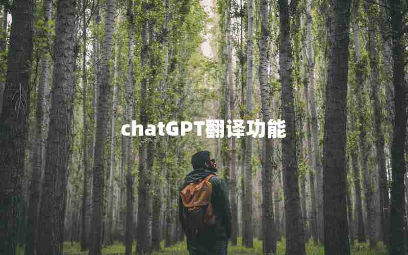 chatGPT翻译功能