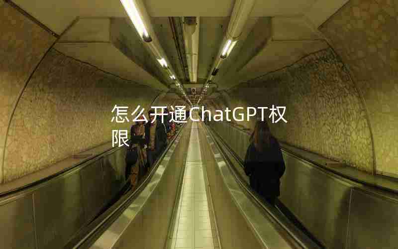 怎么开通ChatGPT权限