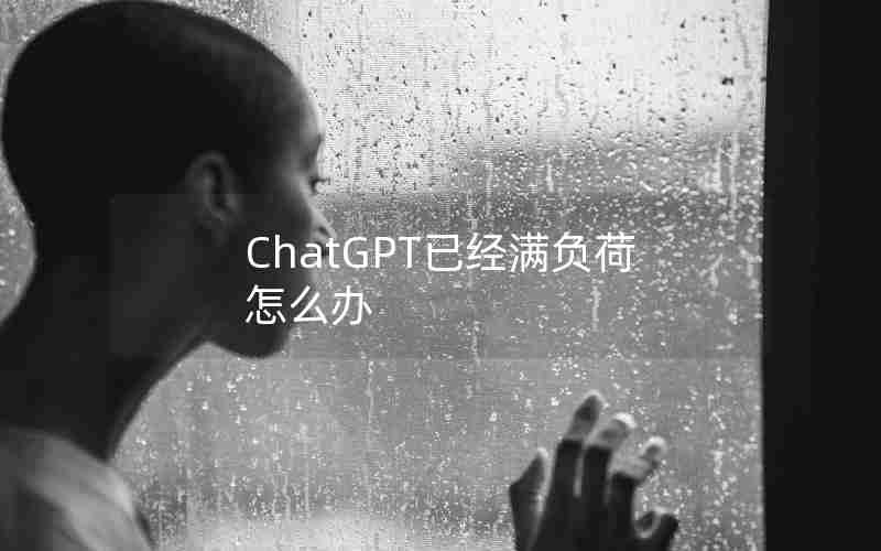 ChatGPT已经满负荷怎么办