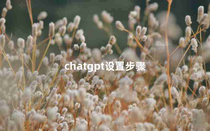 chatgpt设置步骤