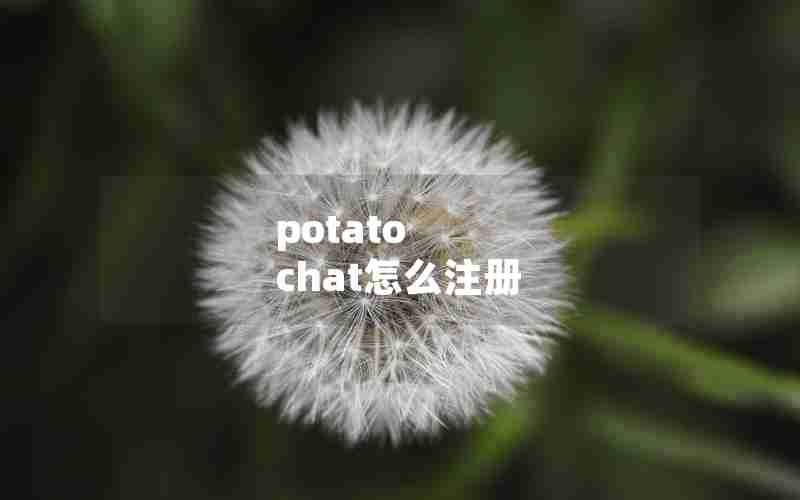 potato chat怎么注册