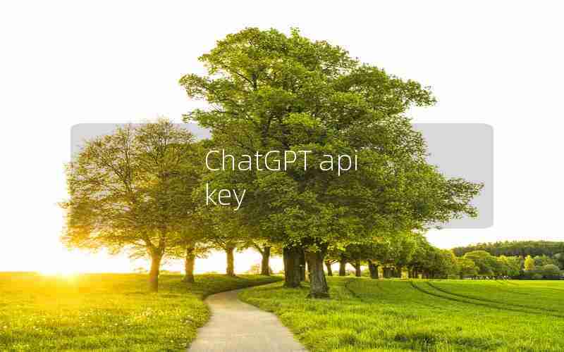 ChatGPT api key