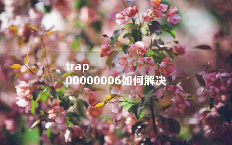 trap 00000006如何解决