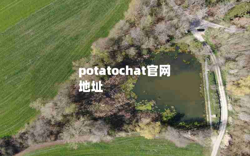 potatochat官网地址(如何下载chatGPT电脑版)