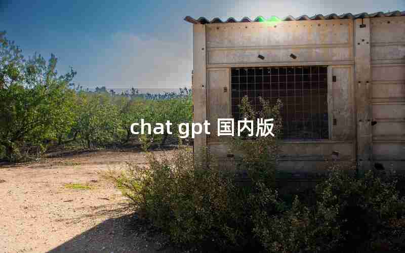 chat gpt 国内版