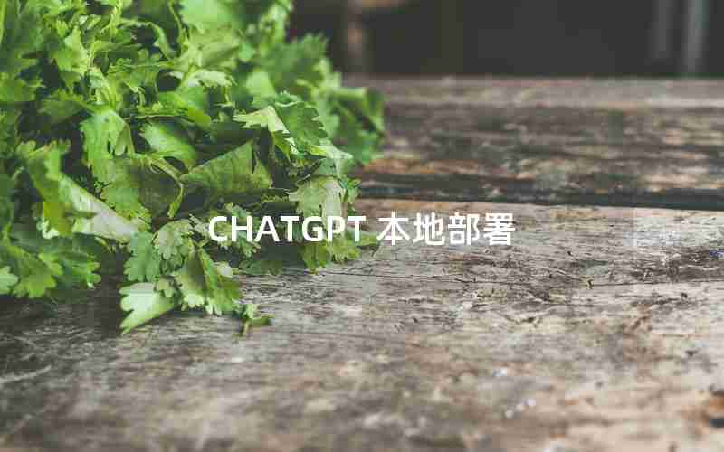 CHATGPT 本地部署