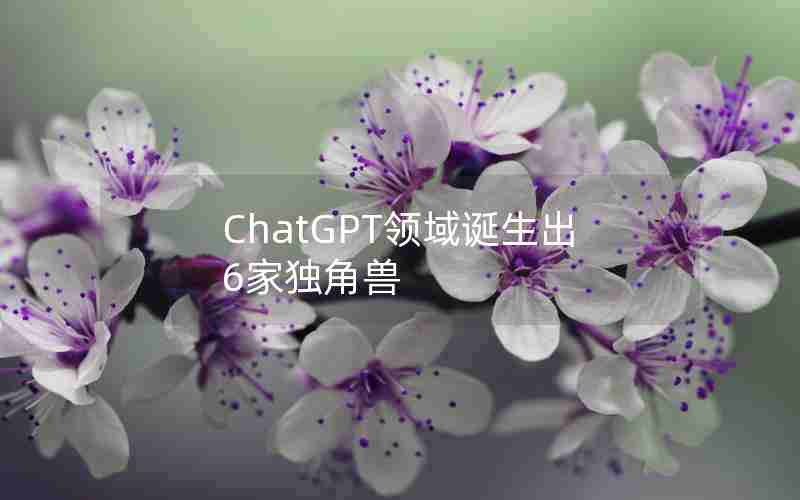 ChatGPT领域诞生出6家独角兽