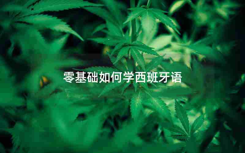 零基础如何学西班牙语