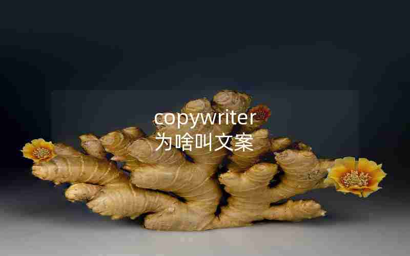 copywriter 为啥叫文案