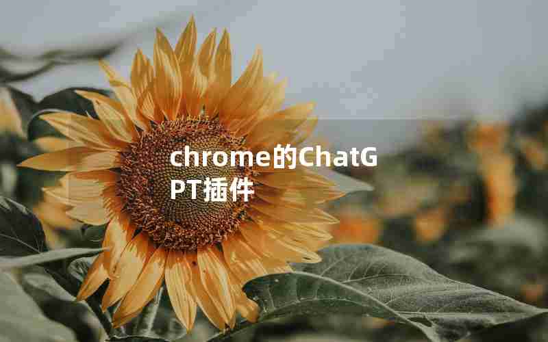 chrome的ChatGPT插件