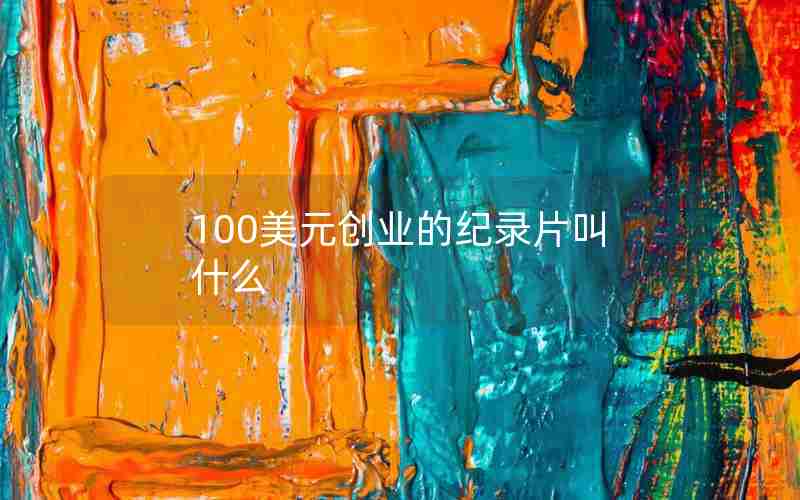 100美元创业的纪录片叫什么