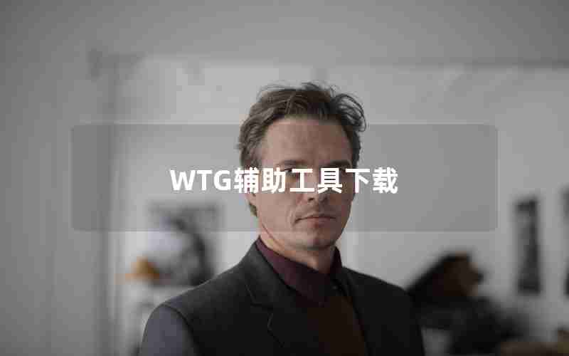 WTG辅助工具下载