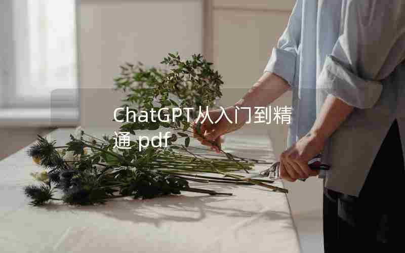 ChatGPT从入门到精通 pdf