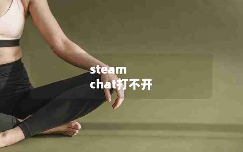 steam chat打不开