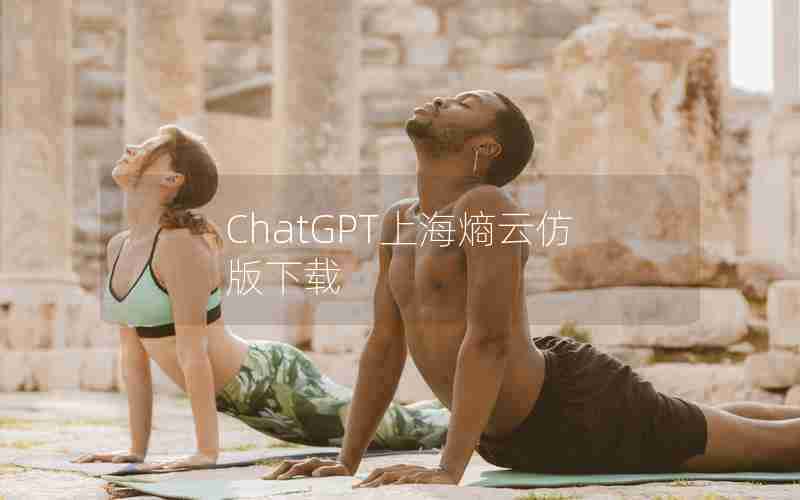 ChatGPT上海熵云仿版下载