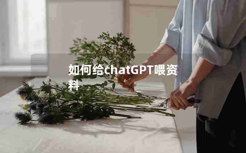 如何给chatGPT喂资料