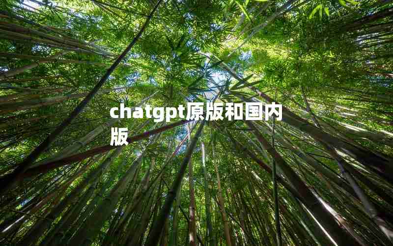 chatgpt原版和国内版