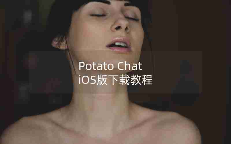 Potato Chat iOS版下载教程