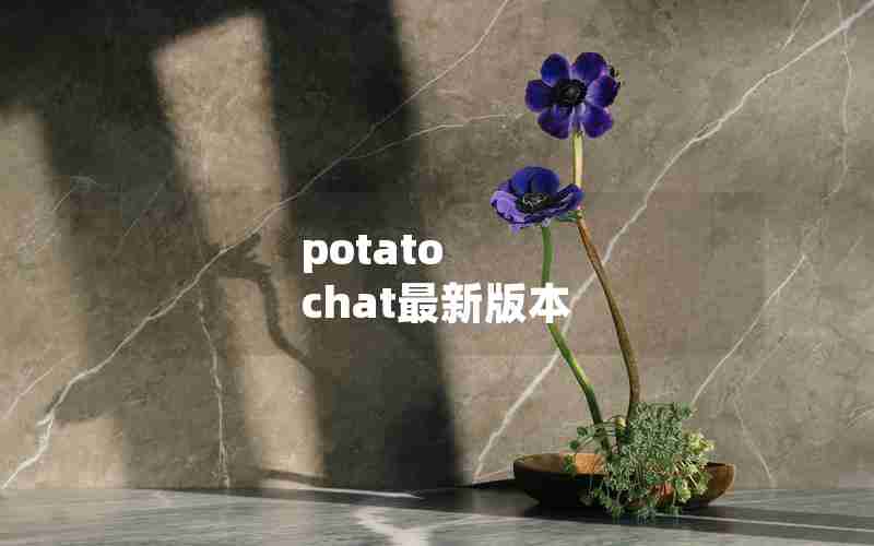 potato chat最新版本