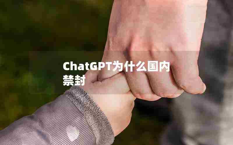 ChatGPT为什么国内禁封