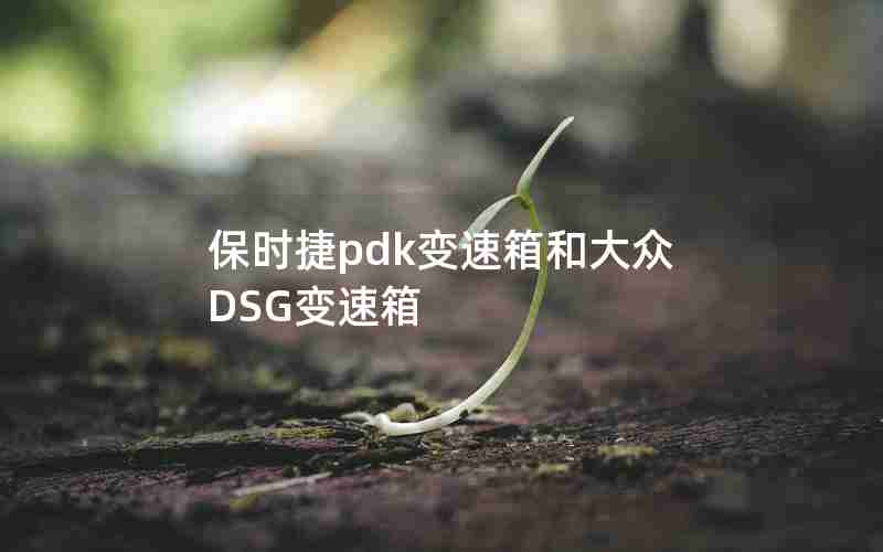 保时捷pdk变速箱和大众DSG变速箱