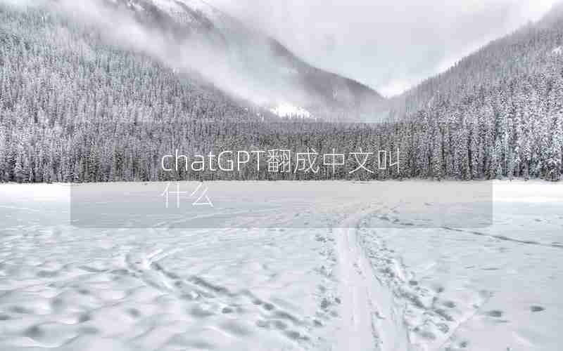 chatGPT翻成中文叫什么
