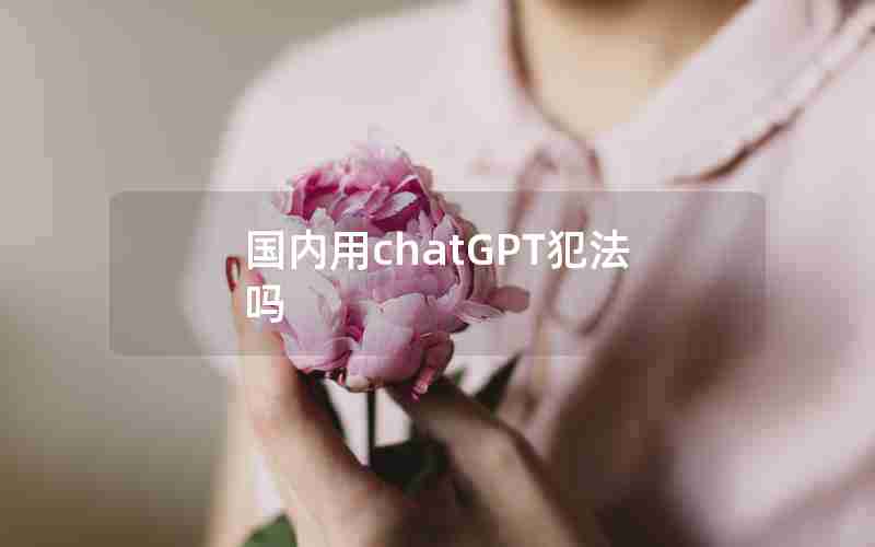 国内用chatGPT犯法吗