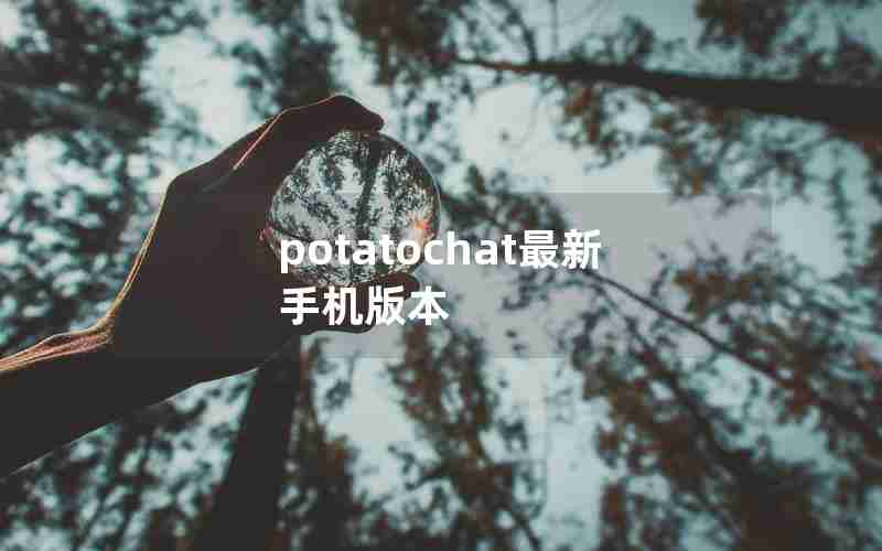 potatochat最新手机版本