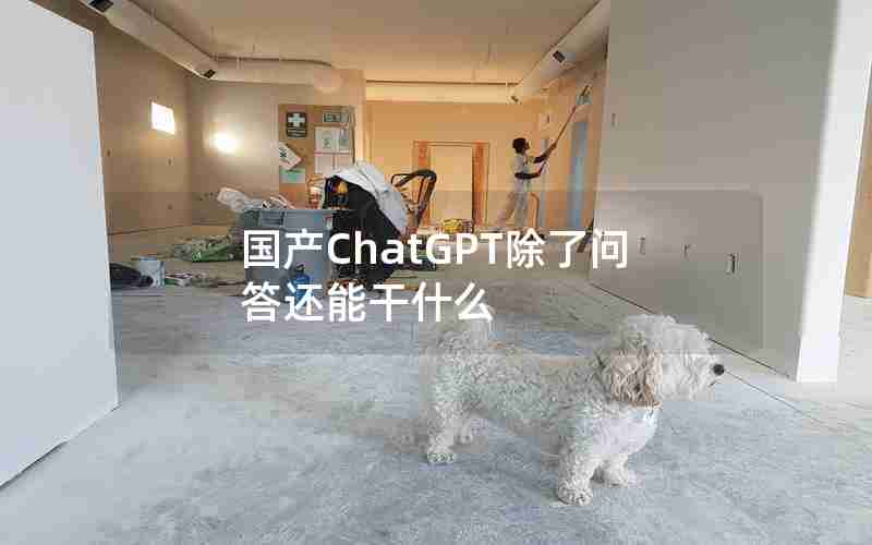 国产ChatGPT除了问答还能干什么