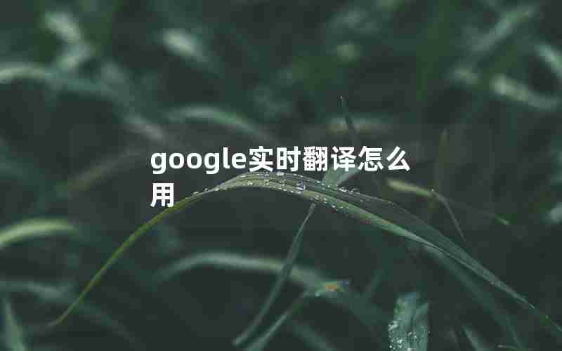 google实时翻译怎么用