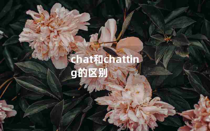 chat和chatting的区别