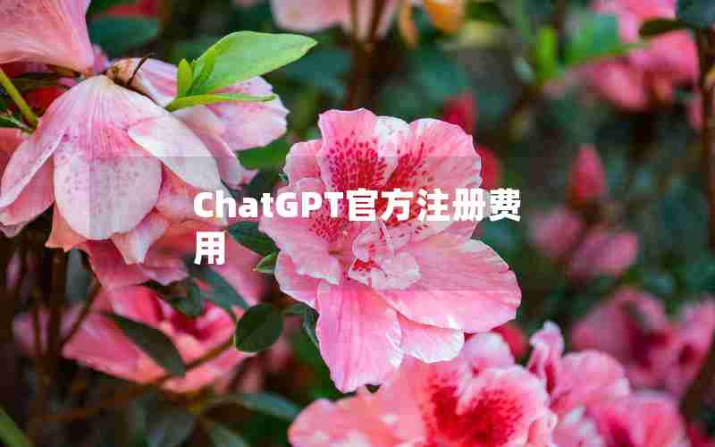 ChatGPT官方注册费用