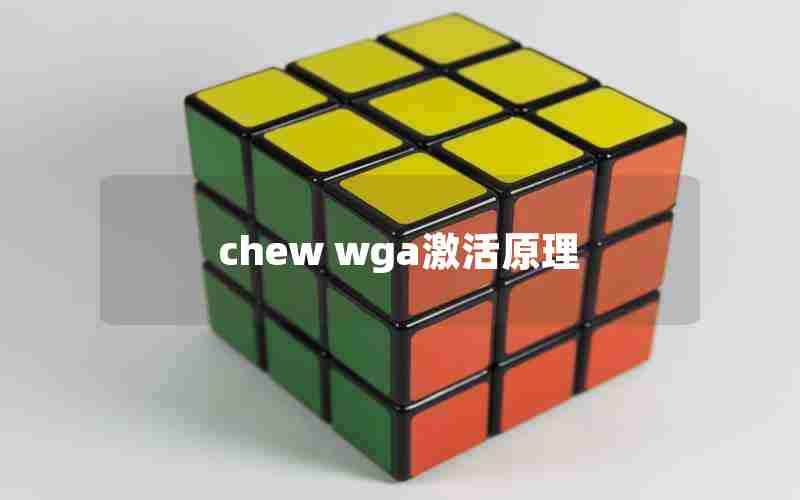 chew wga激活原理