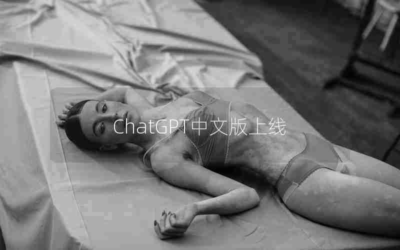 ChatGPT中文版上线