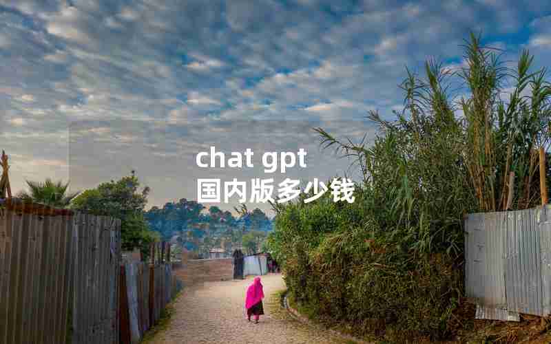 chat gpt 国内版多少钱