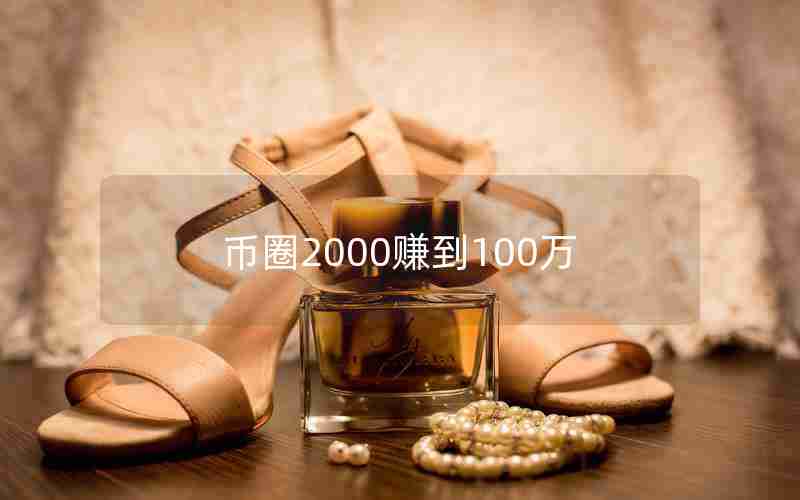 币圈2000赚到100万