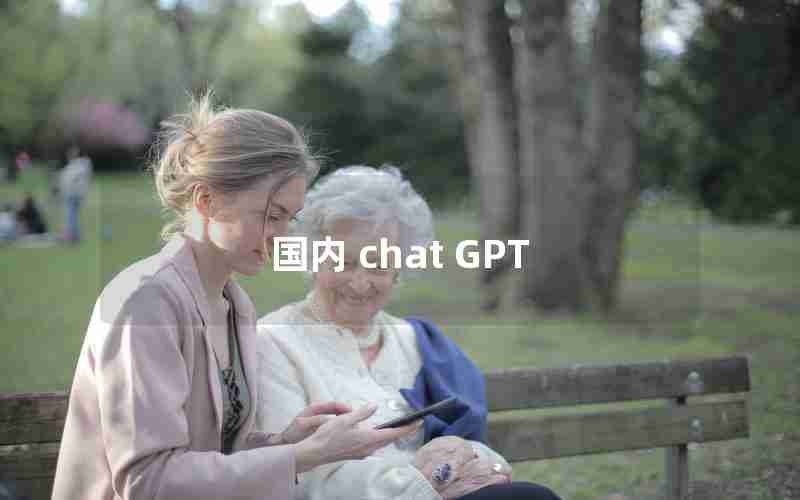 国内 chat GPT
