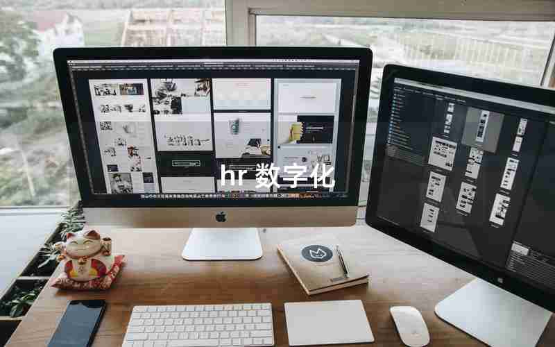hr 数字化