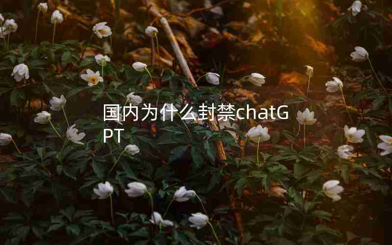 国内为什么封禁chatGPT