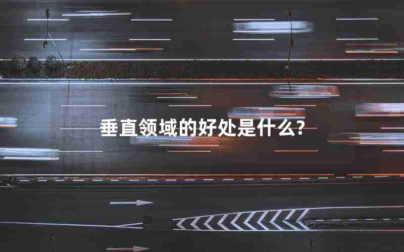 垂直领域的好处是什么?