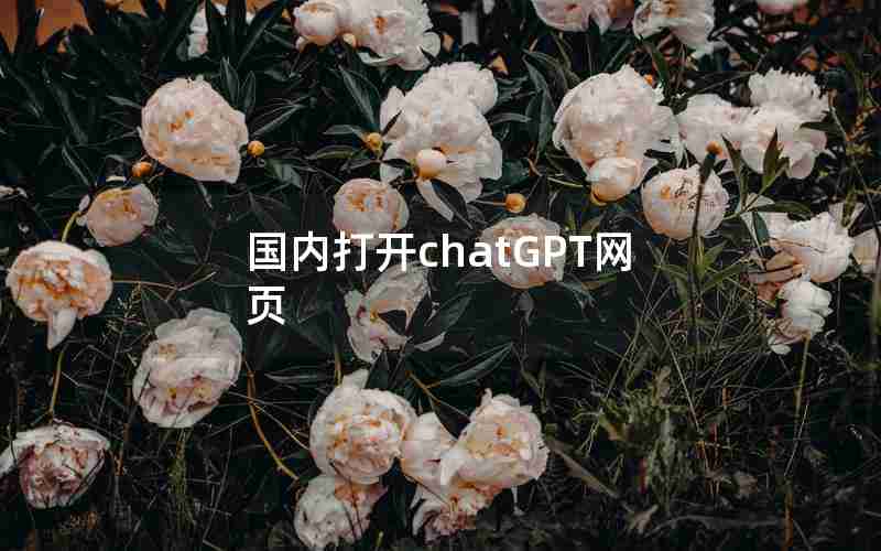 国内打开chatGPT网页