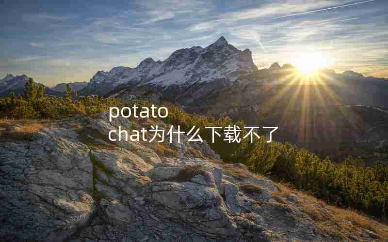potato chat为什么下载不了