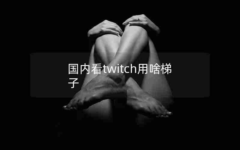 国内看twitch用啥梯子