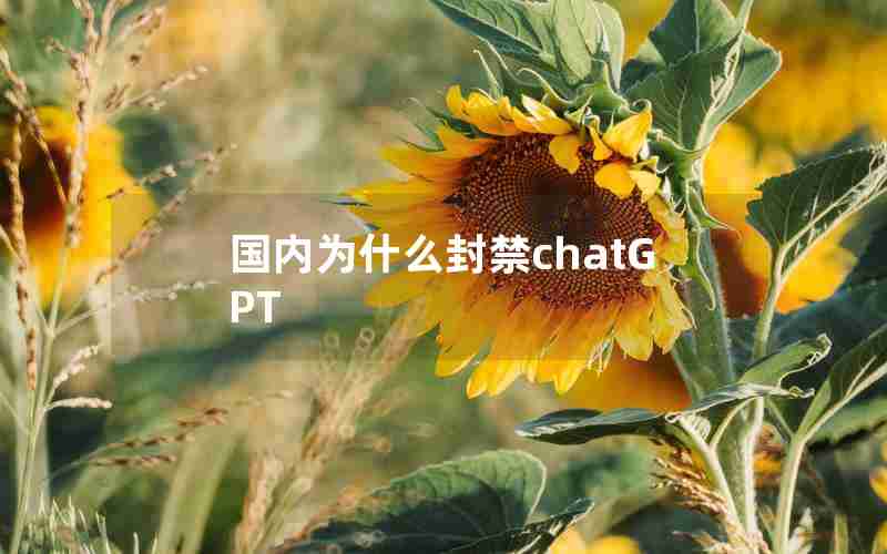 国内为什么封禁chatGPT