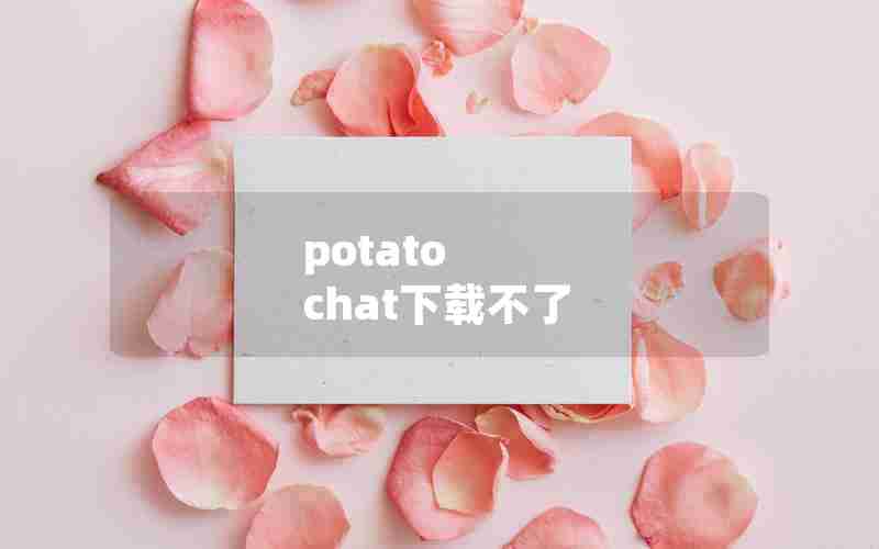 potato chat下载不了